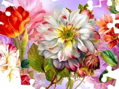 Tulipan, Kwiaty, Grafika, Róże