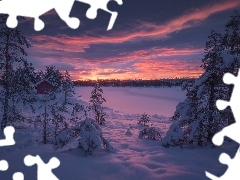 Drzewa, Zima, Dom, Zaśnieżone, Ringerike, Norwegia, Chmury