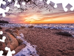 Gałęzie, Kamienie, Plaża, Wschód słońca, Morze