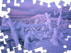 Drzewa, Ogrodzenie, Finlandia, Wzgórze, Laponia, Zaśnieżo