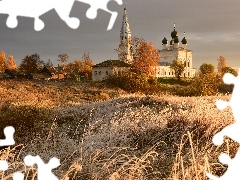 Trawy, Jesienne, Rosja, Drzewa, Obwód jarosławski, Oszroni
