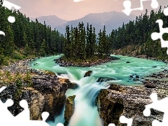 Las, Drzewa, Kanada, Góry, Alberta, Rzeka Sunwapta, Wodospa