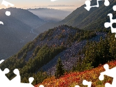 Zalesione, Wzgórza, Dolina, Lasy, Góry