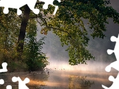 Staw Barski, Dąb, Obwód moskiewski, Mgła, Drzewo, Seredni