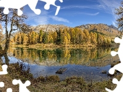 Drzewa, Las, Góry, Jezioro, Jesień