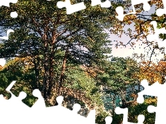 Wzgórze, Skały, Drzewa