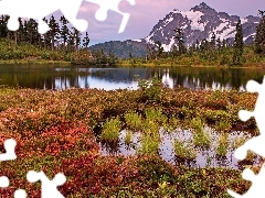Góra Shuksan, Trawy, Stany Zjednoczone, Drzewa, Stan Waszyngton, Góry, Jezioro Highwood Lake, Park Narodowy Północnych Gór Kaskadowych