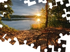 Drzewa, Jezioro, Promienie słońca, Chmury, Roślinność, 