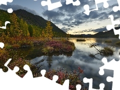 Poranek, Jezioro Tantsuyushchikh Khariusov, Drzewa, Magadan,