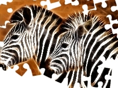 Fractalius, Dwie, Zebry