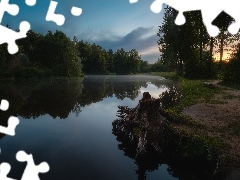 Staw, Drzewa, Rosja, Ścieżka, Obwód moskiewski, Park, Ser
