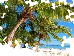 Wyspa Mahe, Seszele, Plaża, Palmy, Morze