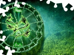 Grafika, Znak zodiaku, Ryby