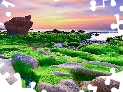 Skały, Brzeg, Prowincja Da Nang, Wodorosty, Morze, Plaża N