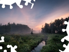 Mgła, Rzeka, Podlasie, Polska, Drzewa, Las