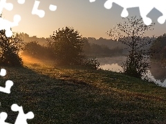 Blask, Poranek, Rzeka, Drzewa, Słońca, Mgła