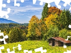 Drzewa, Jesień, Chata, Szałas, Drewniana, Góry