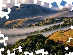 Drzewa, Wzgórza, Wzgórza, Mgła, Góry