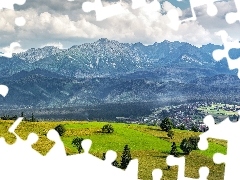 Drzewa, Góry, Zakopane, Polska, Dolina, Tatry