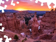 Park Narodowy Bryce Canyon, Stany Zjednoczone, Roślinność