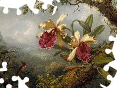 Storczyki, Ptak, Obraz, Martin Johnson Heade, Malarstwo
