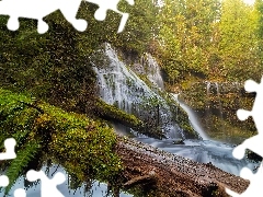 Stan Waszyngton, Stany Zjednoczone, Las państwowy Chattahoo