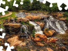 Kamienie, Drzewa, Stany Zjednoczone, Roślinność, Karolina