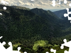 Masyw Czerwone Wierchy, Góry, Dolina, Polska, Lasy, Tatry Zachodnie