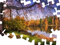 Las, Jesień, Drzewa, Jezioro