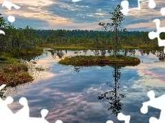 Lasy, Torfowisko, Estonia, Bagna, Park Narodowy Lahemaa, Drzewo, Wysepka, Viru raba