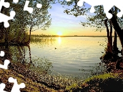 Drzewa, Słońca, Jezioro, Zachód