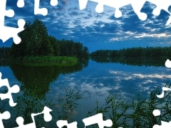 Las, Jezioro, Niebo, Odbicie, Trzciny, Drzewa