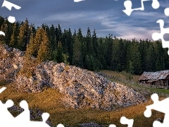 Dom, Ogrodzenie, Skała, Drzewa, Las