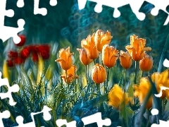 Kwiaty, Tulipany, Rozmycie, Kolorowe