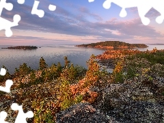 Rośliny, Jezioro Ładoga, Karelia, Skały, Jesień, Drzewa,