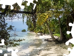 Plaża, Palmy, Plaża, Morze Karaibskie, Panama
