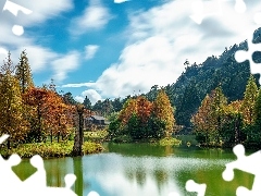 Jezioro, Drzewa, Park, Wzgórze