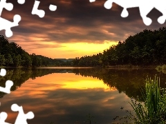 Zarośla, Odbicie, Jezioro, Drzewa, Zachód słońca