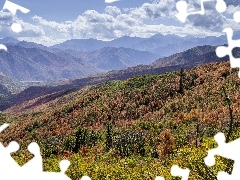 Krzewy, Góry Wasatch, Chmury, Stan Utah, Kolorowe, Jesień,