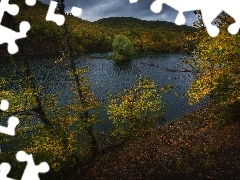 Drzewa, Liście, Góry, Wysepka, Jezioro