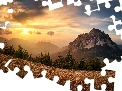 Karpaty, Góry, Drzewa, Słowacja, Zachód słońca, Mała F