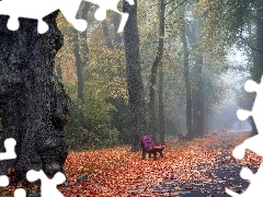 Ławki, Park, Drzewa, Mgła, Jesień, Alejka, Liście