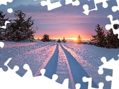 Wschód słońca, Śnieg, Drzewa, Zima