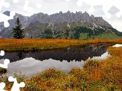 Staw, Trawa, Góry, Drzewa, Jesień