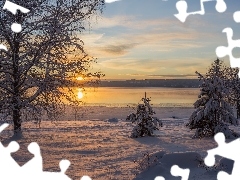 Drzewa, Jezioro Glafsfjorden, Arvika, Szwecja, Zima, Zachód