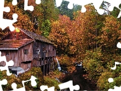 Drzewa, Las, Stany Zjednoczone, Jesień, Stan Waszyngton, Rz