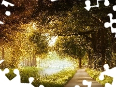 Drzewa, Jesień, Mgła, Poranek, Park