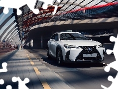 F Sport, Biały, Lexus UX 250h