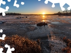 Lód, Drzewa, Finlandia, Trawa, Valkeakoski, Jezioro, Wschó