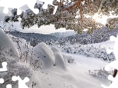 Ośnieżone, Drzewa, Góry, Zaspy, Zima